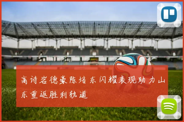 高诗岩德豪陈培东闪耀表现助力山东重返胜利轨道