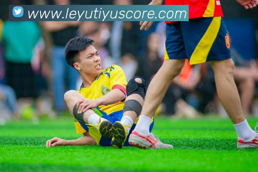 乐鱼体育发展历程